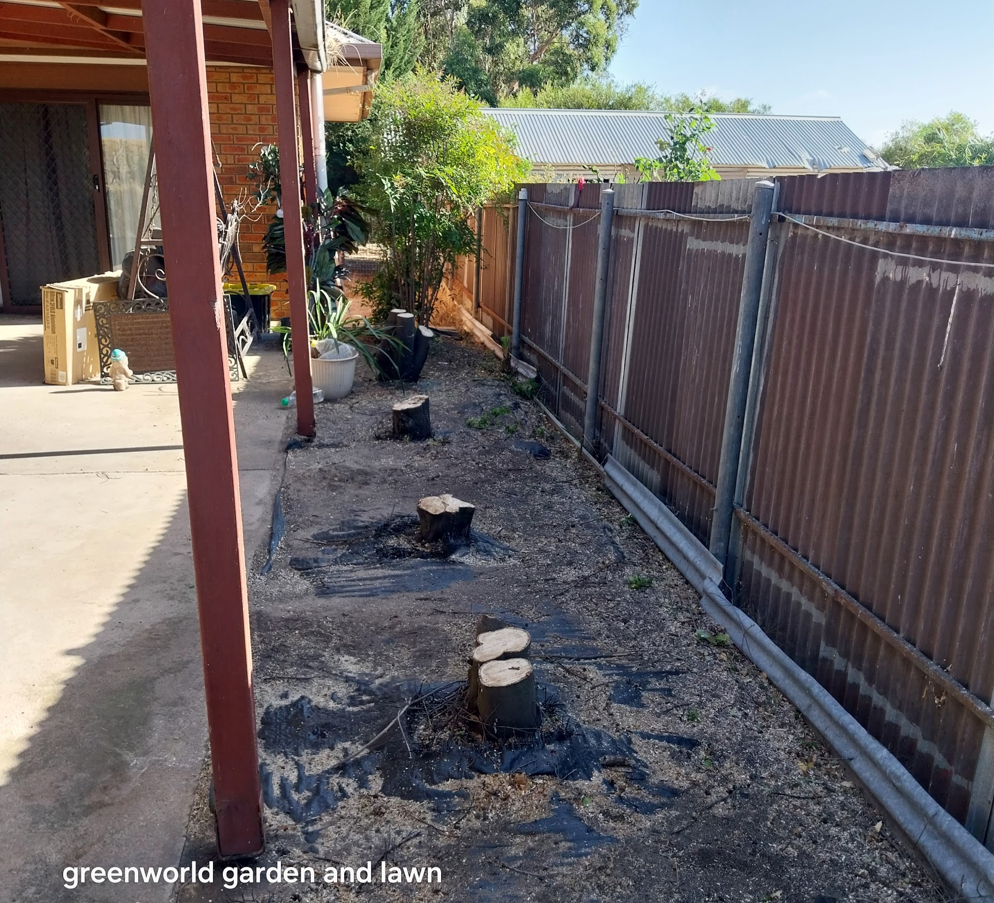 A side strip cleared back to bare ground after tree removal, with cut stumps