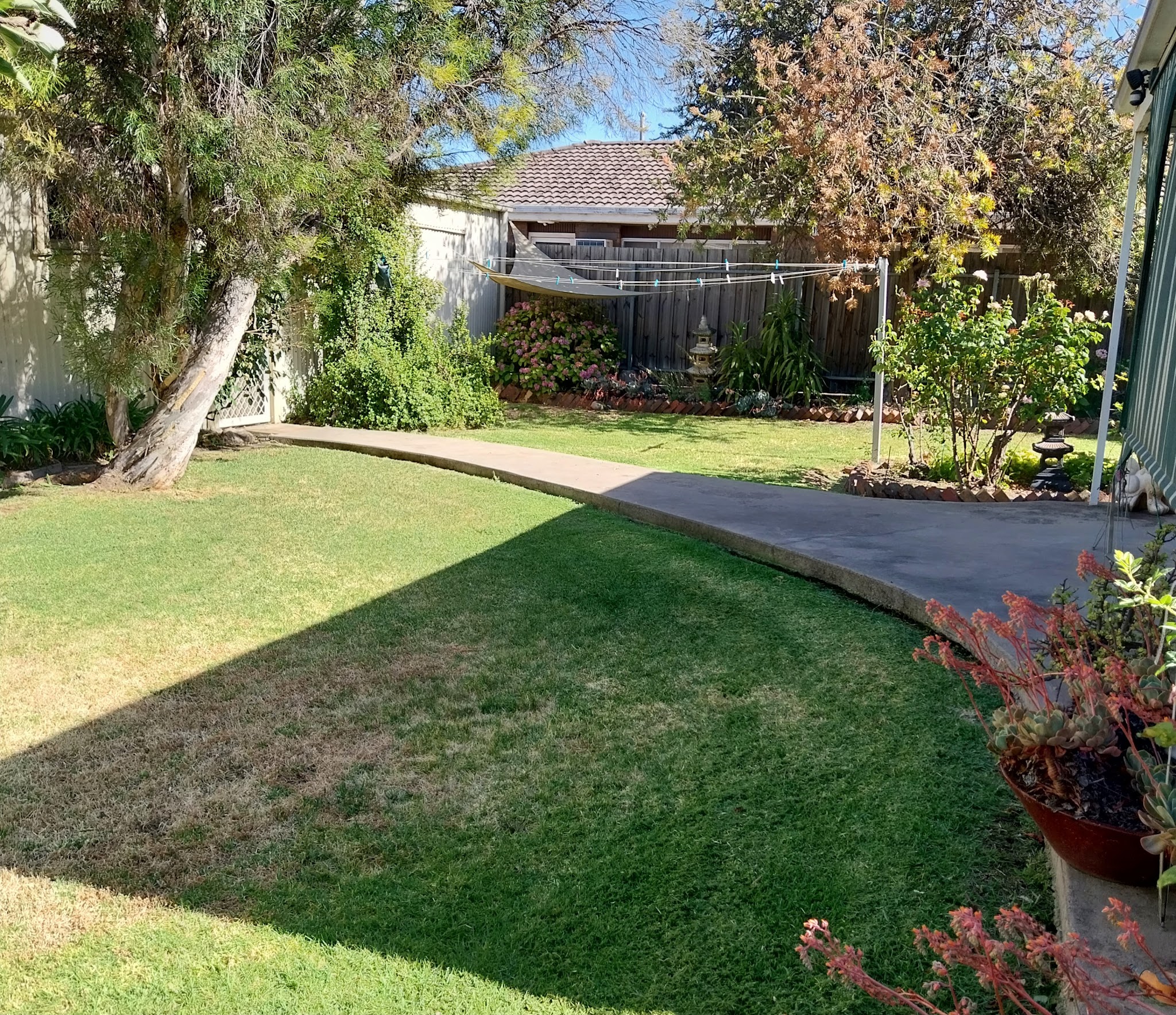 A Horsham backyard with a freshly mown lawn running to a concrete path and established garden beds