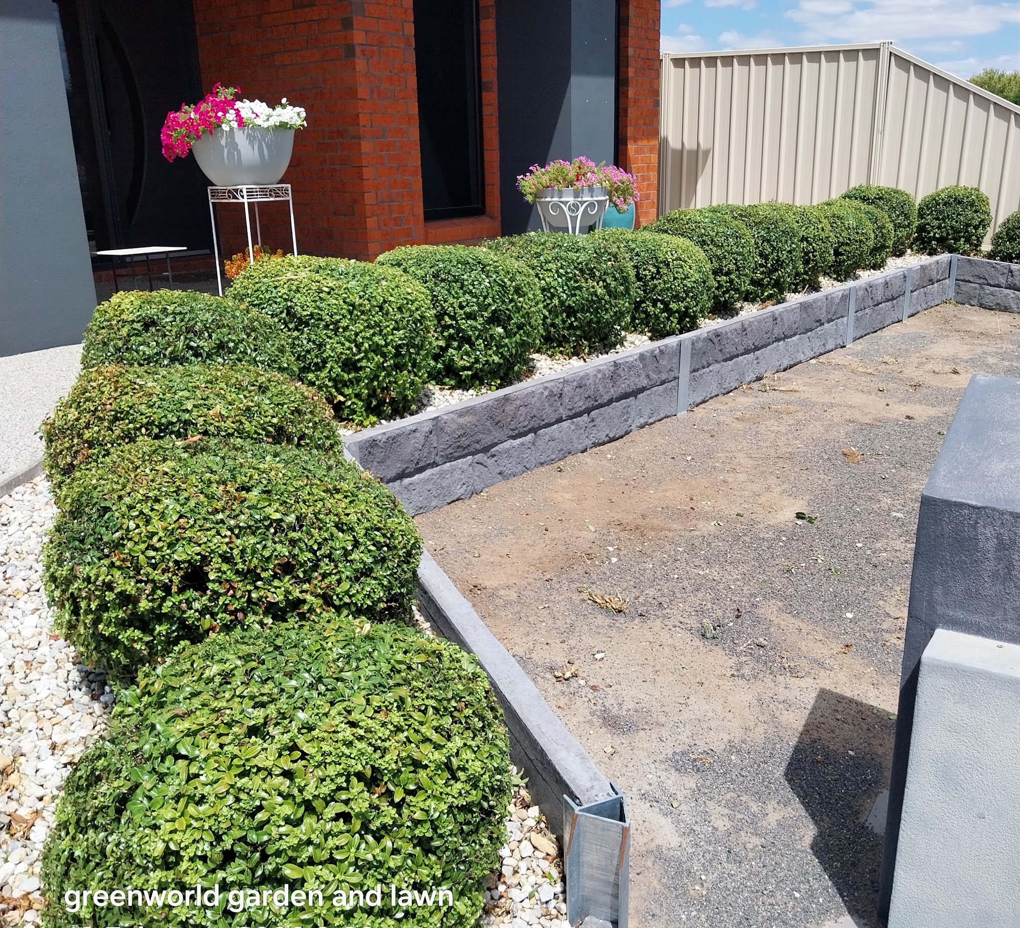 A row of clipped box balls in a bluestone retaining bed at a Horsham property