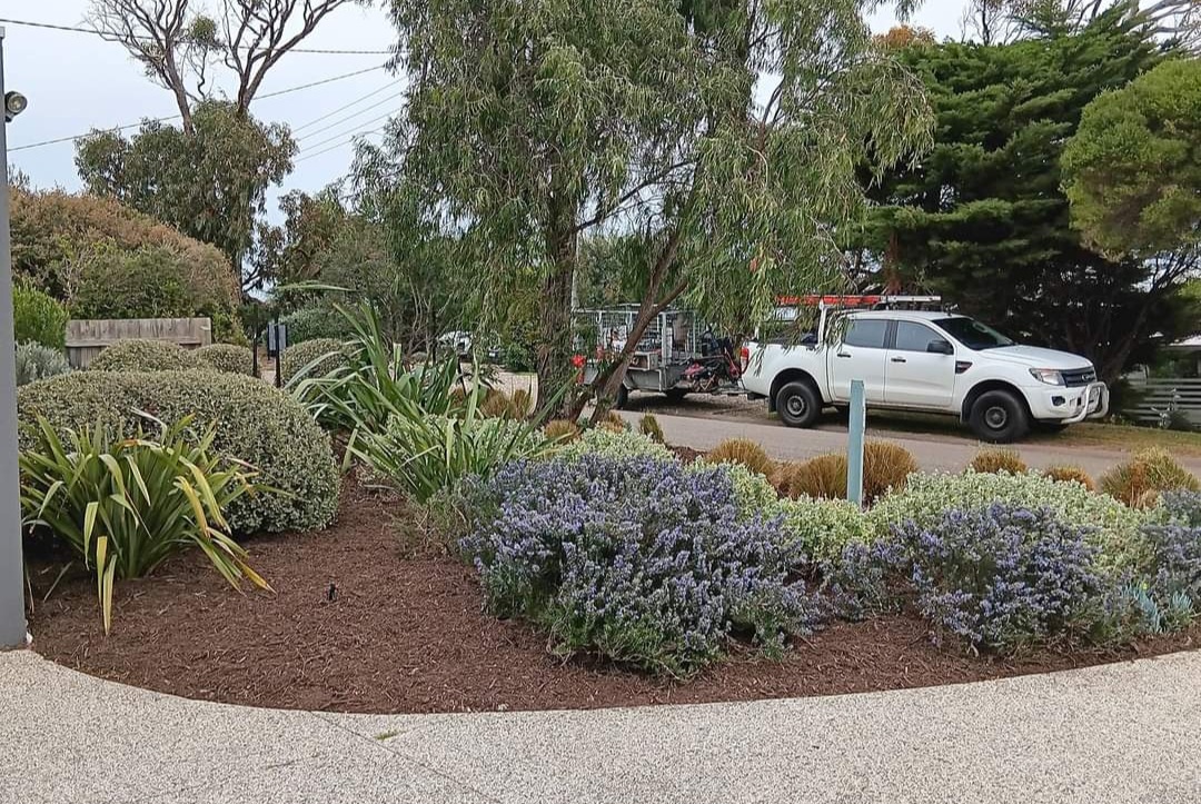 A freshly mulched native garden bed, with the greenworld work ute and trailer parked on the street behind